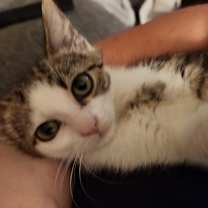 Thumbnail photo of Luca #2