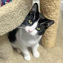 Thumbnail photo of Sundae #2