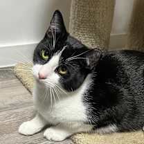 Thumbnail photo of Sundae #3