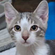 Thumbnail photo of Mike #2