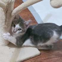 Thumbnail photo of Mike #4