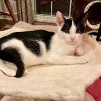 Thumbnail photo of Leroy #1