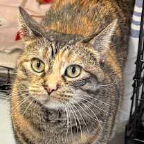 Thumbnail photo of Reba #1