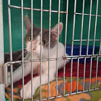 Thumbnail photo of Sherry #2