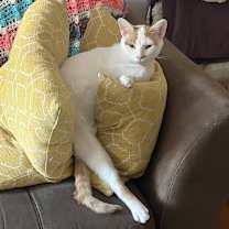 Thumbnail photo of Rita #3