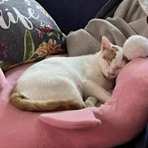 Thumbnail photo of Rita #4