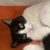 Thumbnail photo of Regina #1