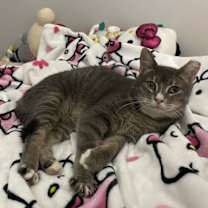 Thumbnail photo of Nuray #2