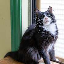 Thumbnail photo of Max #2