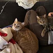 Thumbnail photo of Roe #4