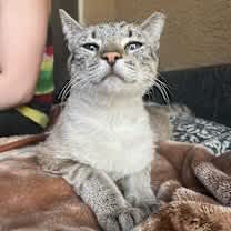 Thumbnail photo of Link #2