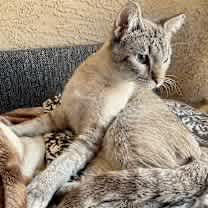 Thumbnail photo of Link #4