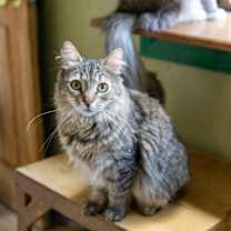 Thumbnail photo of Sugar #2