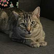 Thumbnail photo of Elina #1