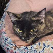 Thumbnail photo of Autumm #3