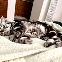 Thumbnail photo of Jerry #3