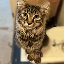 Thumbnail photo of Benjamin #1