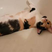 Thumbnail photo of April #2