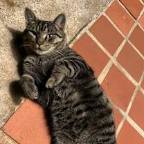 Thumbnail photo of Jack #3