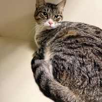 Thumbnail photo of Jonas #1