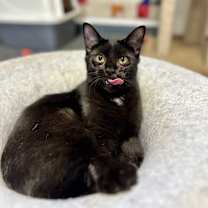 Thumbnail photo of Tiny #1