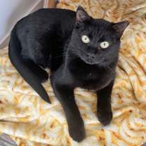 Thumbnail photo of Mamacita #1