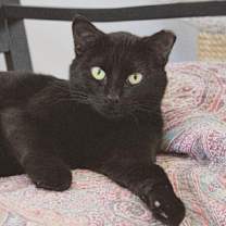 Thumbnail photo of Mamacita #2