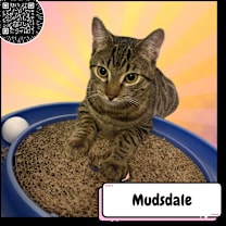 Thumbnail photo of Mudsdale #1