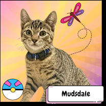 Thumbnail photo of Mudsdale #3