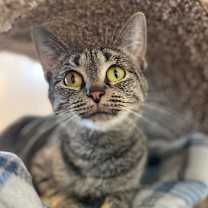 Thumbnail photo of BonBon #3