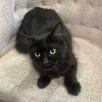 Thumbnail photo of Gemma #2