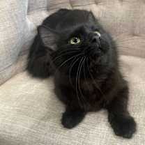 Thumbnail photo of Gemma #3