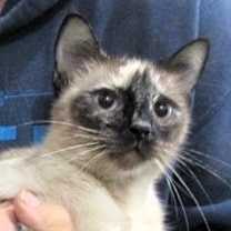 Thumbnail photo of Sofie #1