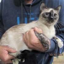 Thumbnail photo of Sofie #2