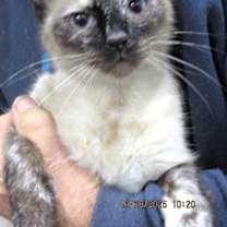 Thumbnail photo of Sofie #3