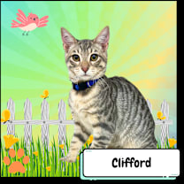 Thumbnail photo of Clifford, the Big Red Dog #4