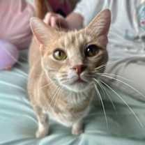 Thumbnail photo of Zucchini #1