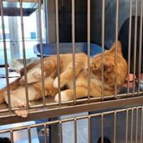 Thumbnail photo of Hamilton #3