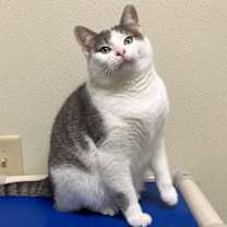 Thumbnail photo of Georgia #2