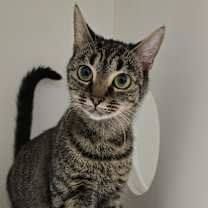 Thumbnail photo of Jill #1