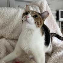 Thumbnail photo of Lucy #2