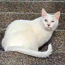 Thumbnail photo of Mini Mae #3