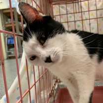 Thumbnail photo of Welcome #2