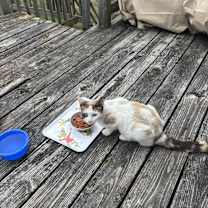 Thumbnail photo of Lilly #2