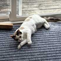 Thumbnail photo of Lilly #4