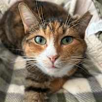 Thumbnail photo of Clarice #1