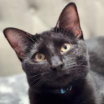 Thumbnail photo of TDY #1