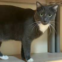 Thumbnail photo of Charlie #4