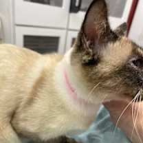 Thumbnail photo of Sky #3