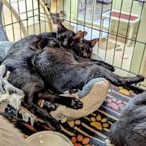 Thumbnail photo of Bliss #3